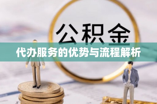 循化代办服务的优势与流程解析