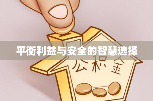 循化平衡利益与安全的智慧选择