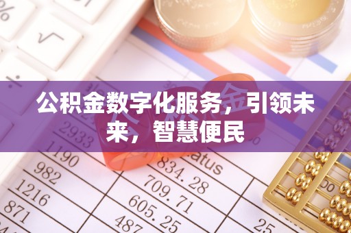 循化公积金数字化服务，引领未来，智慧便民