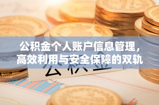 循化公积金个人账户信息管理，高效利用与安全保障的双轨并行