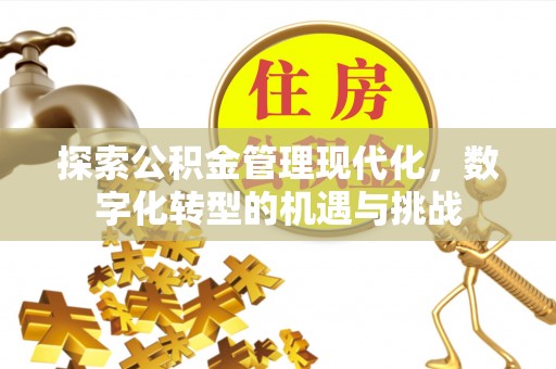 循化探索公积金管理现代化，数字化转型的机遇与挑战