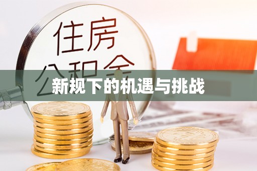 循化新规下的机遇与挑战