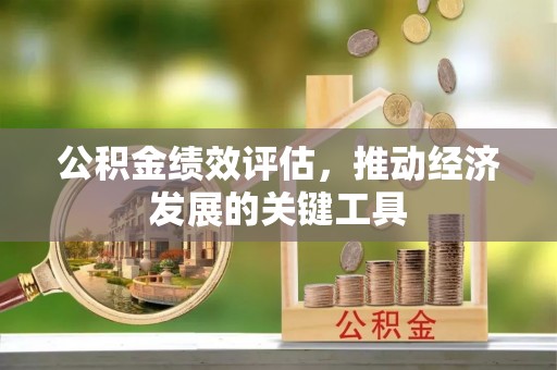 循化公积金绩效评估，推动经济发展的关键工具