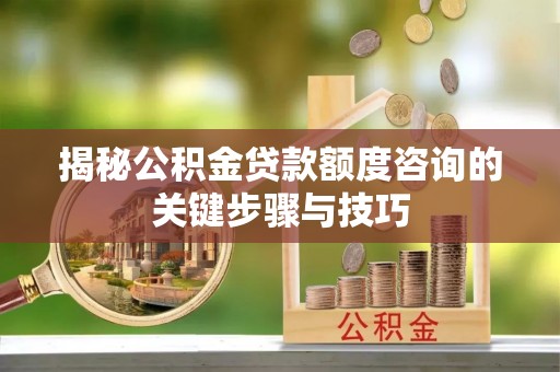 循化揭秘公积金贷款额度咨询的关键步骤与技巧