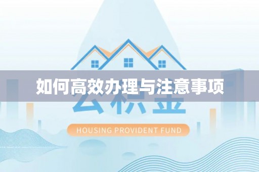 循化如何高效办理与注意事项