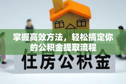 循化掌握高效方法，轻松搞定你的公积金提取流程