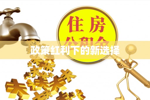 循化政策红利下的新选择