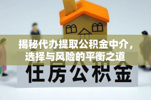 循化揭秘代办提取公积金中介，选择与风险的平衡之道