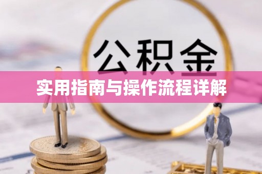 循化实用指南与操作流程详解