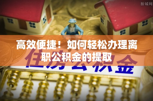 循化高效便捷！如何轻松办理离职公积金的提取