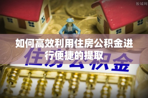 循化如何高效利用住房公积金进行便捷的提取