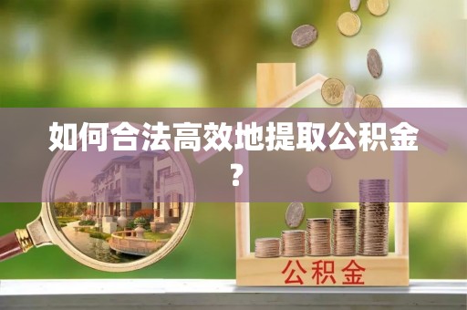 循化如何合法高效地提取公积金？