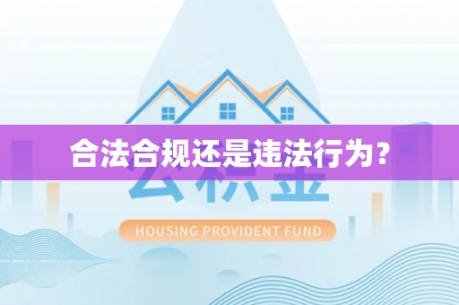 循化合法合规还是违法行为？
