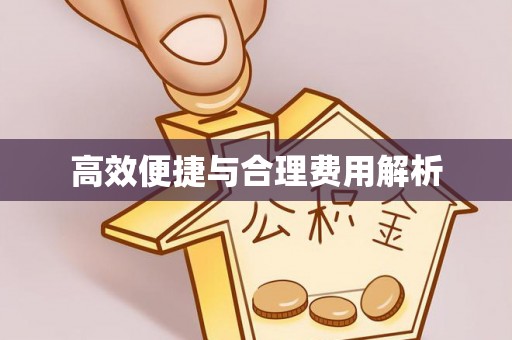 循化高效便捷与合理费用解析