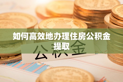 循化如何高效地办理住房公积金提取