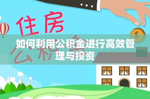 循化如何利用公积金进行高效管理与投资