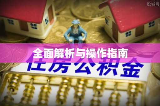 循化全面解析与操作指南