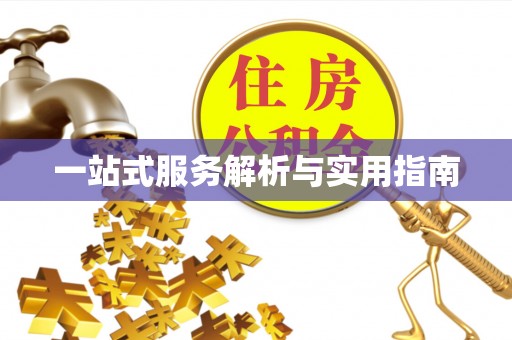 循化一站式服务解析与实用指南