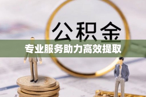 循化专业服务助力高效提取