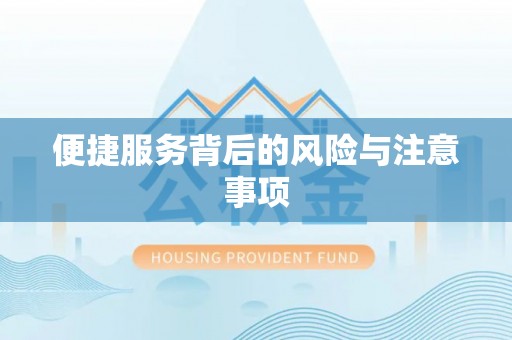 循化便捷服务背后的风险与注意事项