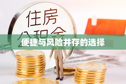 循化便捷与风险并存的选择
