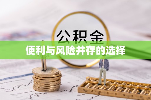 循化便利与风险并存的选择