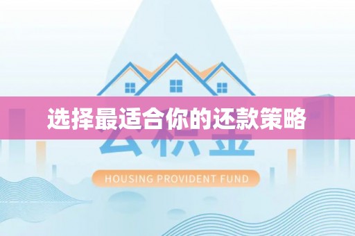 循化选择最适合你的还款策略