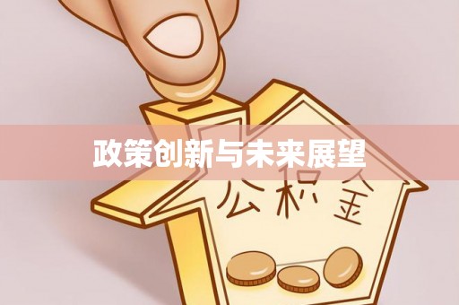 循化政策创新与未来展望