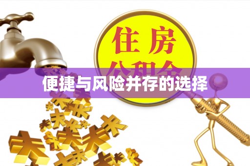 循化便捷与风险并存的选择