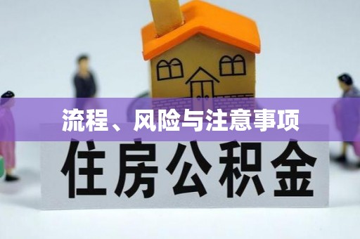 循化流程、风险与注意事项