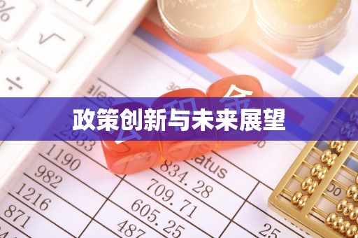 循化政策创新与未来展望