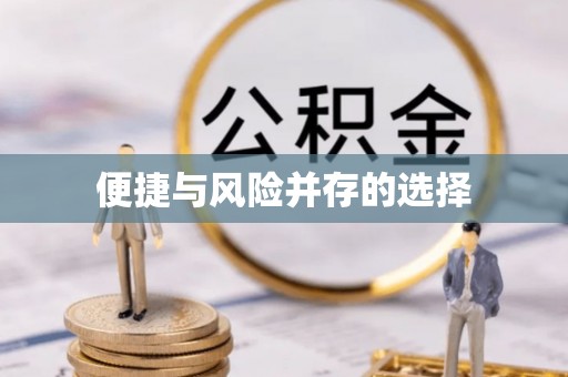 循化便捷与风险并存的选择