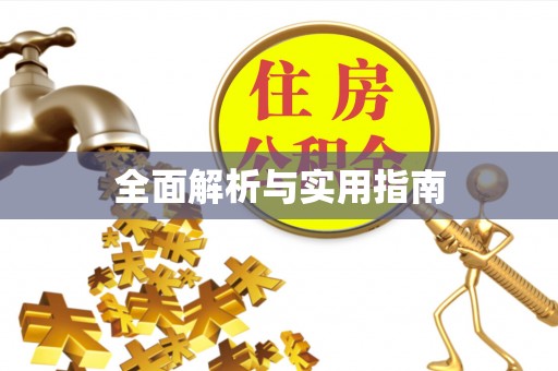 循化全面解析与实用指南