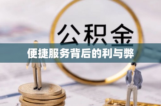 循化便捷服务背后的利与弊