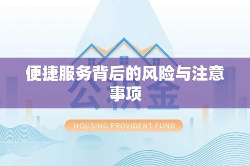 循化便捷服务背后的风险与注意事项